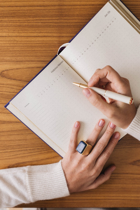 Trent Planner 2026 Azul Papillon