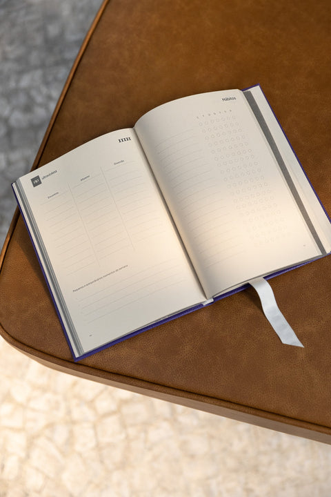 Journal de Dois Modos