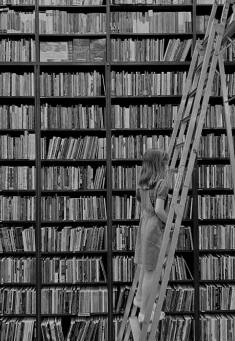 Programas para os pequenos em São Paulo 